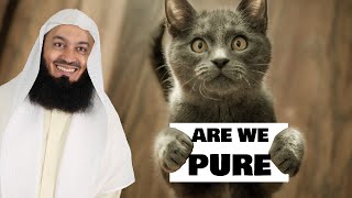 Are cats pure? Mufti Menk