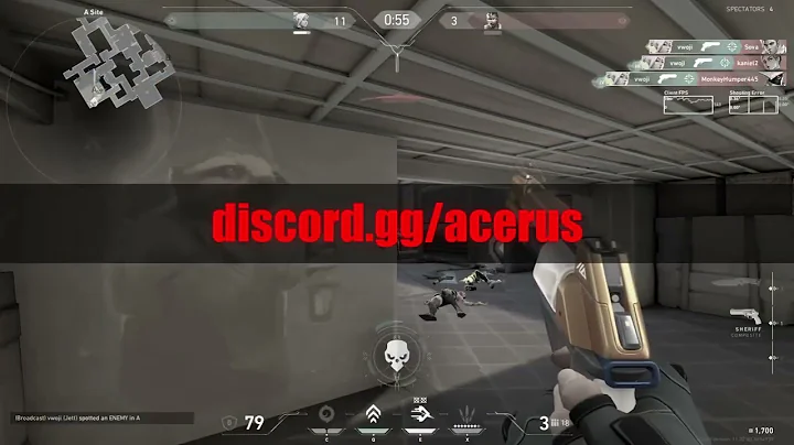 The ONLY Undetected ColorBot Left in Valorant