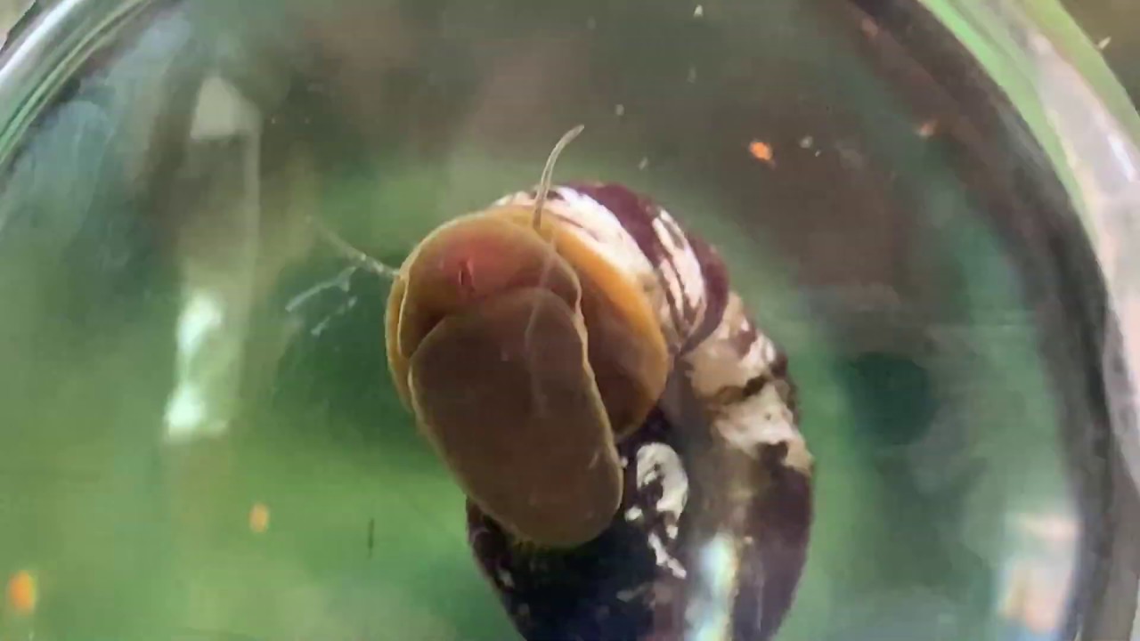 The Jersey Folks Manasquan Reservoir Environmental Center part 2 of 3 YouTube