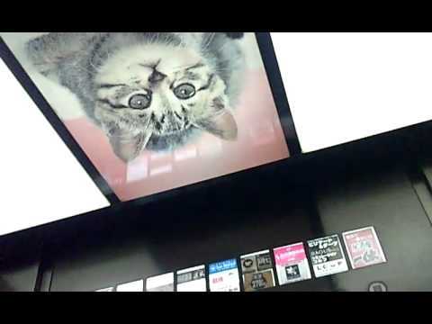 うわっくせーがお送りする　ちとせ会館のエレベーター