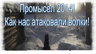 Жизнь и промысел в тайге 3 месяца.(Легкий обзор таежного промысла. Как я жил в глухой тайге, охотился, рыбачил, путешествовал. ******************************..., 2015-04-17T22:19:31.000Z)