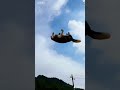 Funny, animals also have emotions, share interesting videos, boo absurd videos
