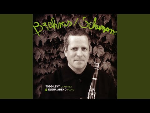 Sonata For Clarinet And Piano Op. 120, No. 2: Allegro Appassionato bekijken op YouTube