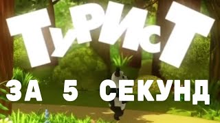 Весёлые мишки. Турист за 5 секунд