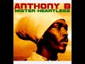 Mr Heartless - Anthony B (COVER) - lyrics