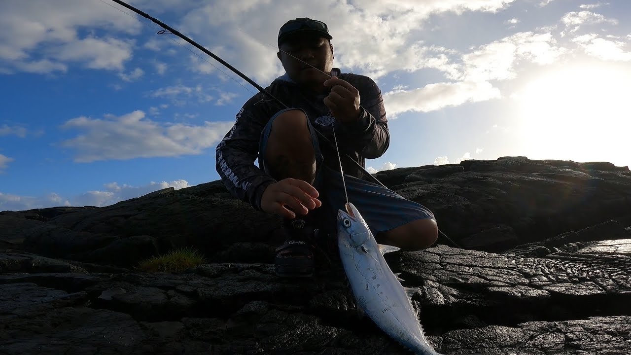 Strictly Shore Casting / Big Island Fishing \ Tylah lures 3” swim baits