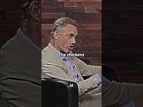 Jordan Peterson: Everything
