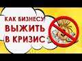 Как бизнесу выжить в кризис? Бизнес в кризис