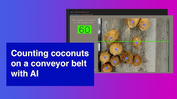 Counting coconuts on a conveyor belt with AI