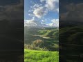 New Zealand 🇳🇿 🍃🌱🌿#nature #relaxing #shorts #shortvideo #trending #relax #beauty #farm