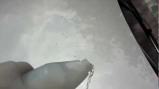 Ceramishield Coating Applied To Audi A1