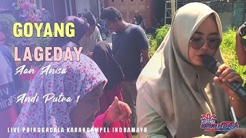 Goyang Lageday | Aan Anisa | Andi Putra 1 | Singa Depok Dangdut | Live Pringgacala Karangampel