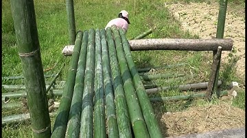 How to building bamboo house for goat   Bamboo construction skills   Building farm, forest life