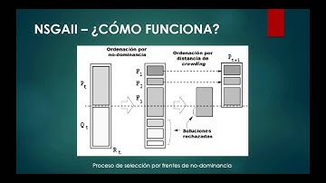 NSGA II - Traveling Salesman Problem