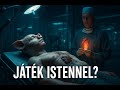 Emberi szerveket növesztenek állatokban – Forradalom vagy őrület?