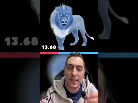 Video: Il leone può vedere il colore?