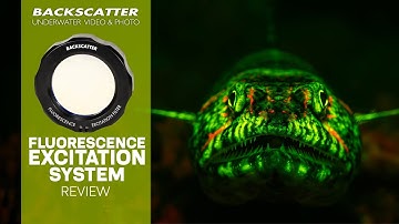 Backscatter Underwater Fluorescence Excitation Filter Review