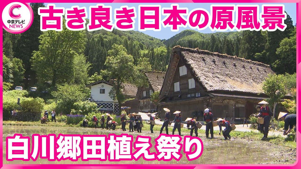 白川郷田植え祭り】日本の原風景 移住者も早乙女として奮闘 岐阜・白