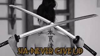 Sia-Never Give Up(Jeff Black Remix)