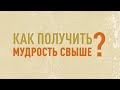 5. Как получить мудрость свыше? - серия "Как выбраться из дьявольских сетей"