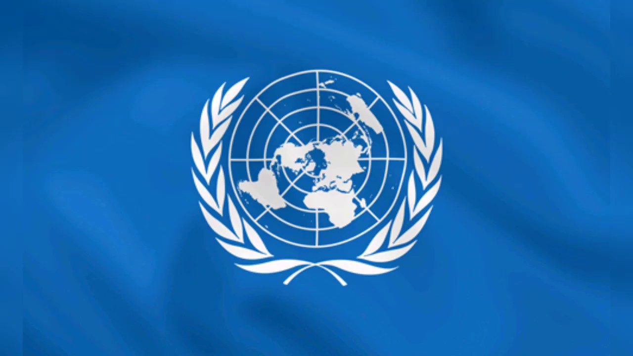 The United Nations Organization - YouTube