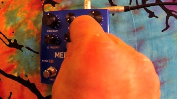 MERIS MERCURY 7 Part 2 "Pitch Vector" experimentation w/ PMT Luke