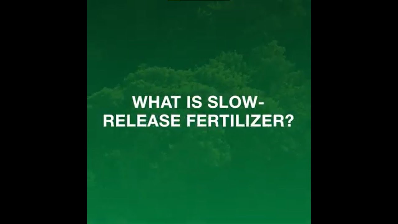 What is SlowRelease Fertilizer? YouTube