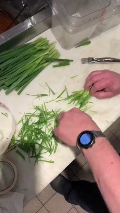 Green Onion Slicer – Ramen Tool