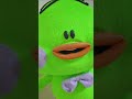 اول ظهور لقلقس الحقيقي 