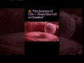 Fertilization: The Journey of Sperm and Egg 🔬🧬 #shorts #fertilization #science #education #biology