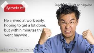 Daily Video Vocabulary Episode 19  - To go hay wire ( Free English Lessons)