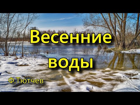 Тютчев  Ф. И. «Весенние воды», стихотворение