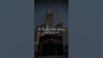 سورة الأحزاب من اية 41 إلى 43 بصوت الشيخ ياسر الدوسري