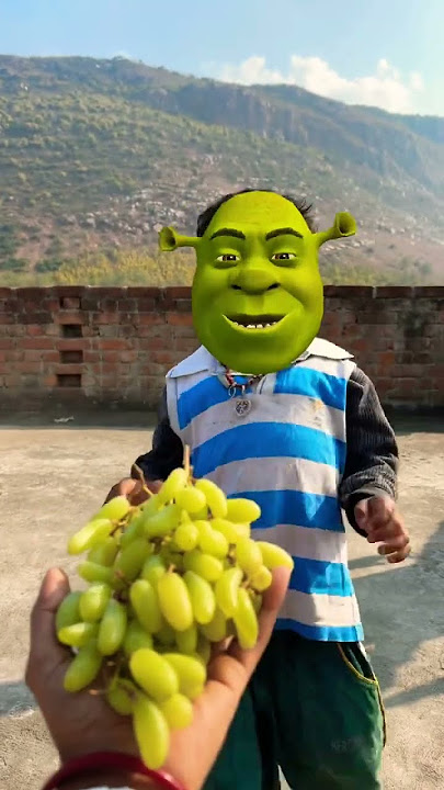 moye moye #song #purtystarnewsong 🌳🎊🎊🎏🎏🍇🍇🥦🥦