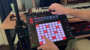 You Singul? - Push 2 Performance