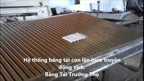 Băng tải con lăn inox, băng chuyền con lan truyền động, bang tai con lan
