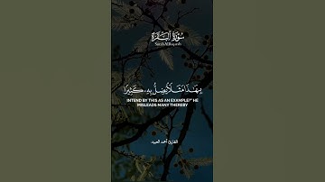 ﴿إِنَّ اللَّهَ لا يَستَحيي أَن يضرِبَ مثلًا ما بَعوضَةً فما فَوقَها .. ﴾ #أحمد_العبيد #قرآن #تلاوات