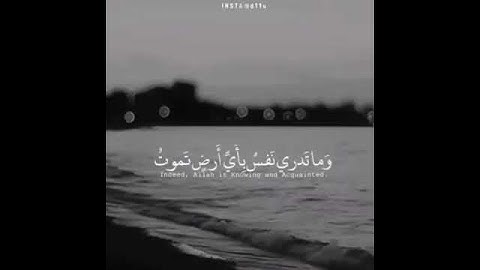 قال تعالى(وَمَا تَدْرِي نَفْسٌ مَّاذَا تَكْسِبُ غَدًا ۖ )القارئ ناصرالقطامي