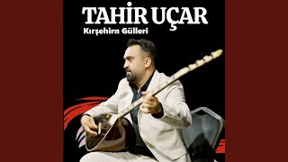 Kırşehirn Gülleri