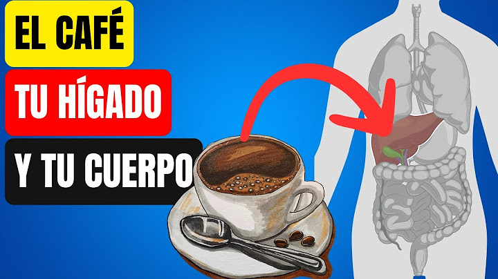 Esto hace el Café en tu Hígado y tu Cuerpo, incluso una sola Taza