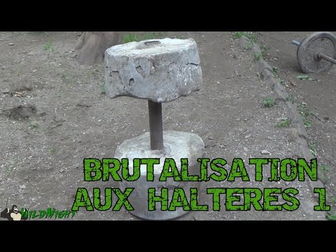 Vidéo: Comment fonctionne la brutalisation ?