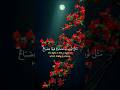 Islamic tilawat Quran pak video 📷 video and last scenea allah #islamicvideo
