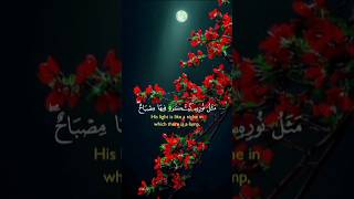 Islamic tilawat Quran pak video 📷 video and last scenea allah #islamicvideo