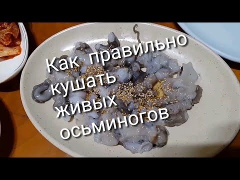 Video: Шараптагы осьминог менен буурчак