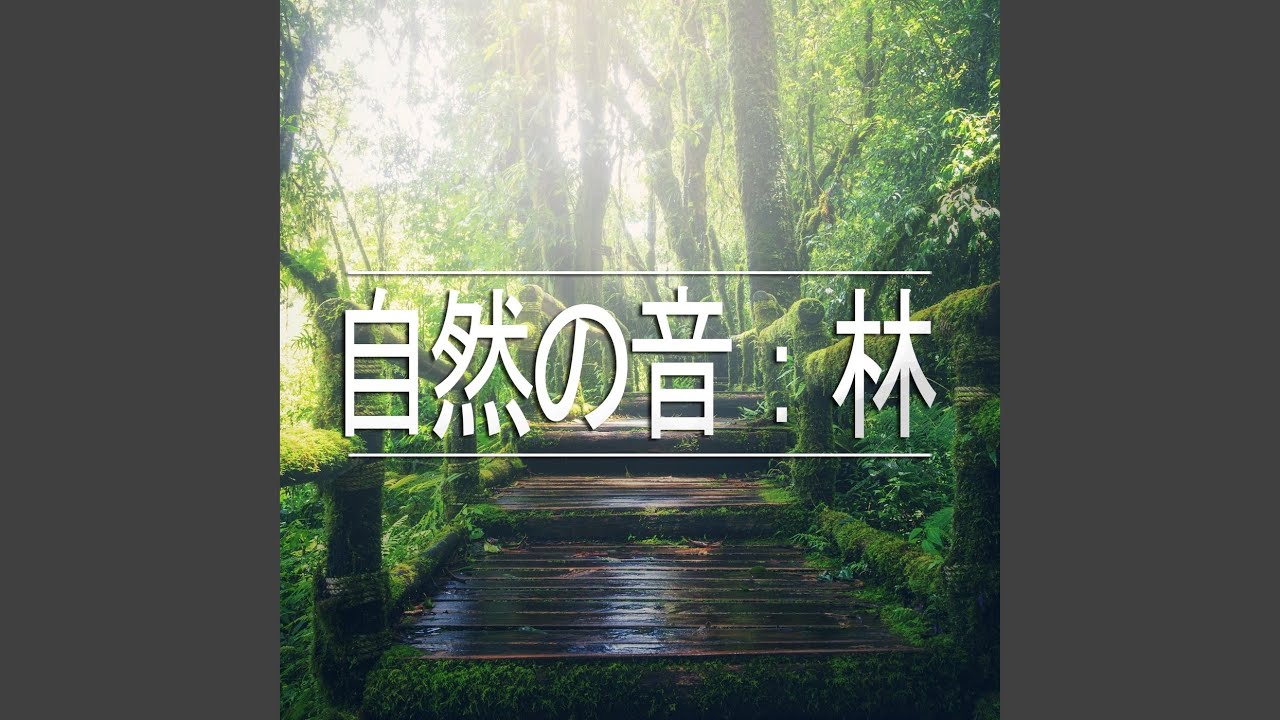 Assista a 自然の音：林、パート24 no YouTube