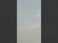 #pêche