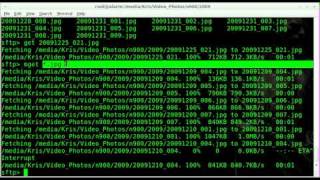 Transferring Files Securely with SCP and SFTP - Linux