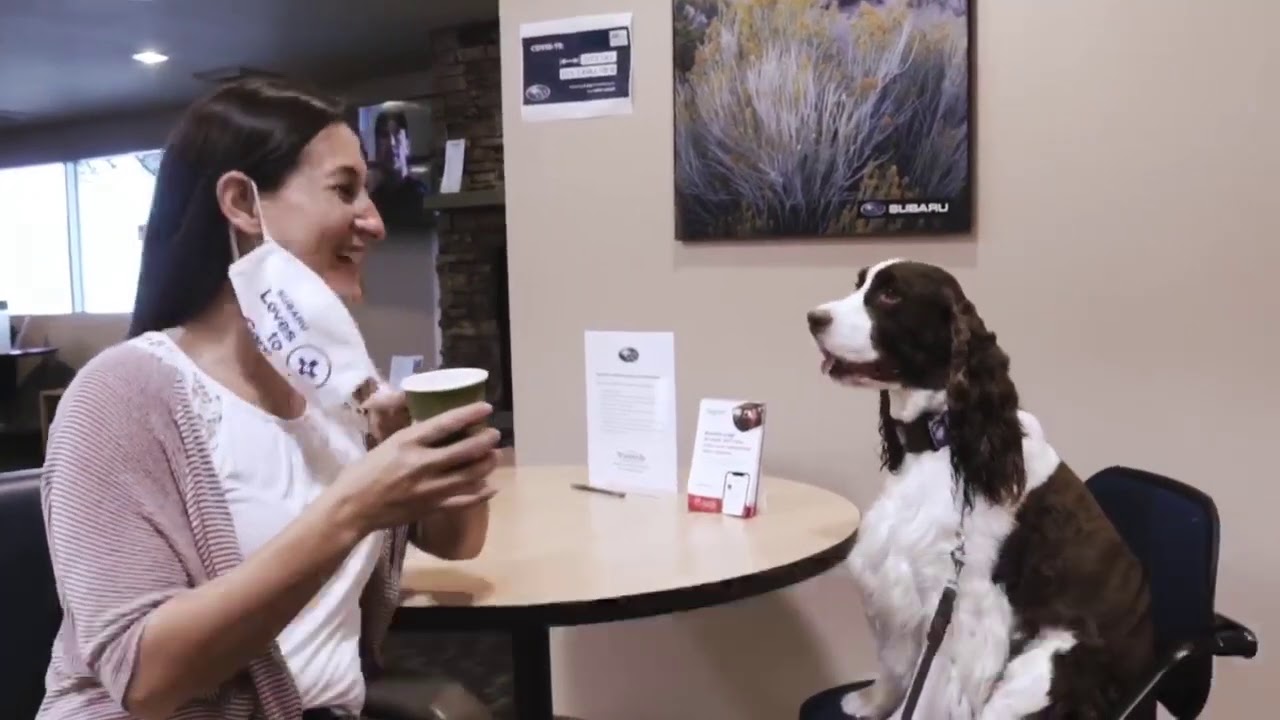 Subaru of Portland Service