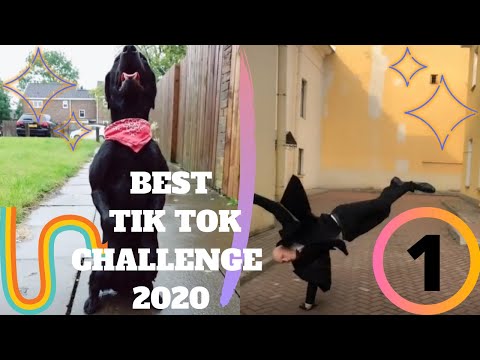 BEST Tik TOK Challenge, the git up blanco brown Funny Compilation 2020