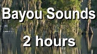 Bayou Nature Sounds for Sleep and Relaxing